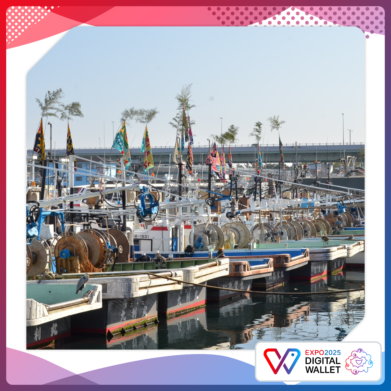 Beech Forest of Izumi Katsuragi Mountain