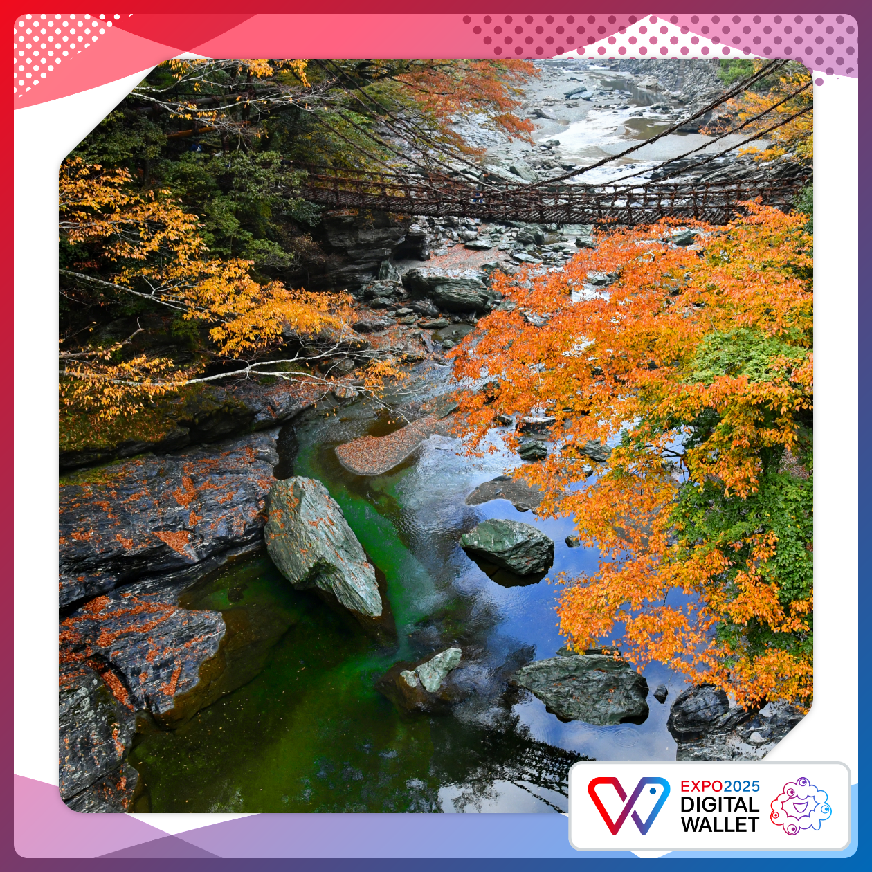 Kazurabashi Bridge (IYA Vine bridge)