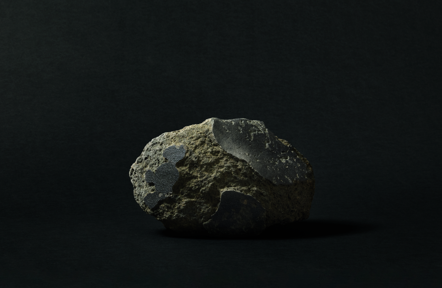 Image for The Japan Pavilion Library