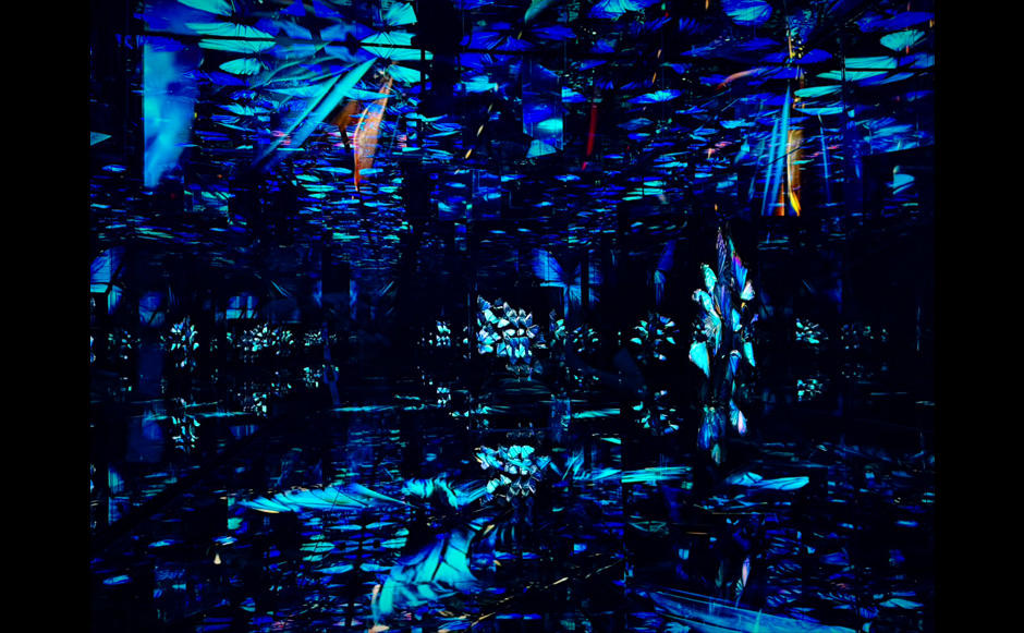 Walkthrough Mode Image