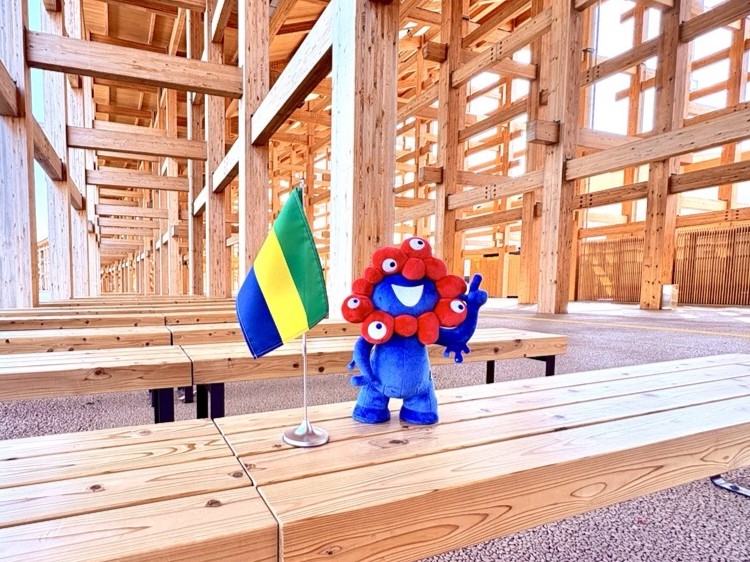 Myakmyak and Gabon flags