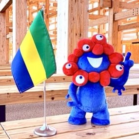 Myakmyak and Gabon flags