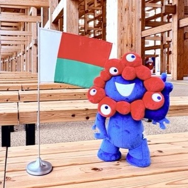 MyakuMyaku and the flag of Madagascar