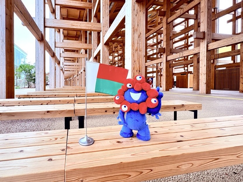 MyakuMyaku and the flag of Madagascar
