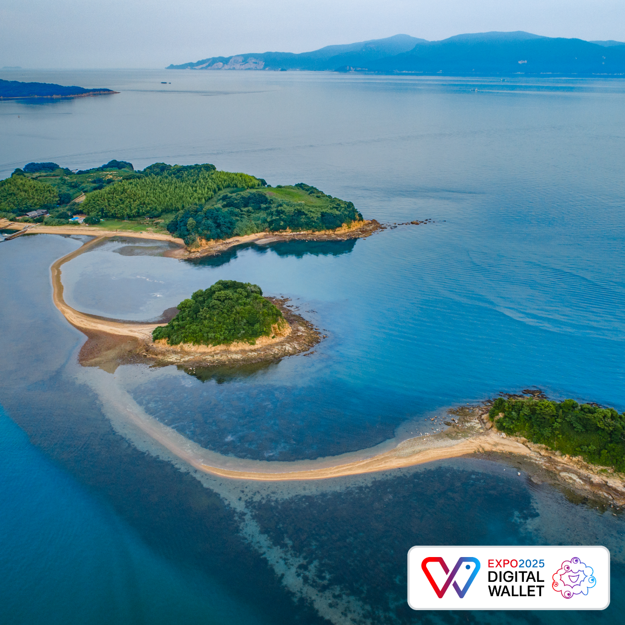 黒島ヴィーナスロード