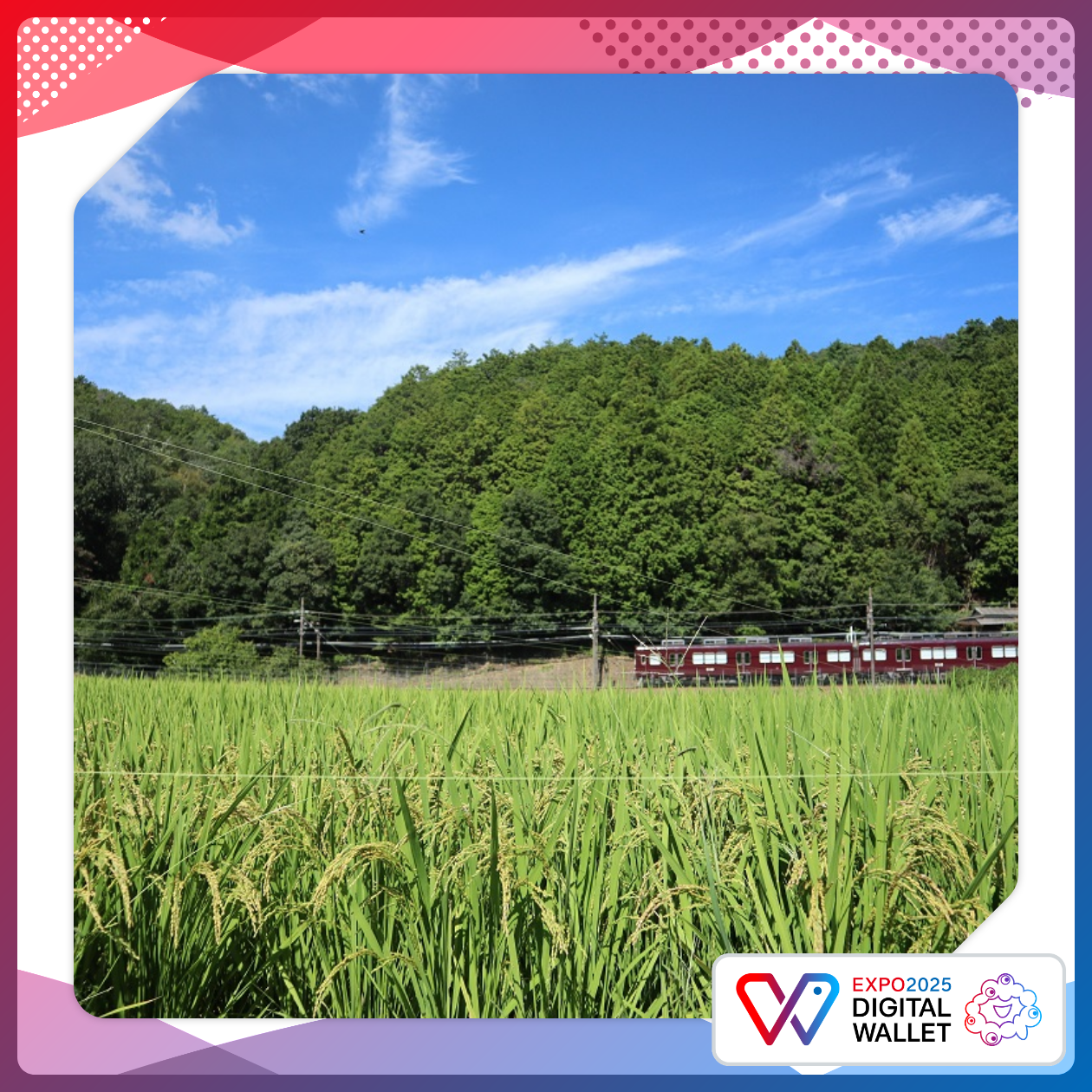 梅田から50分の稲穂も実るまち