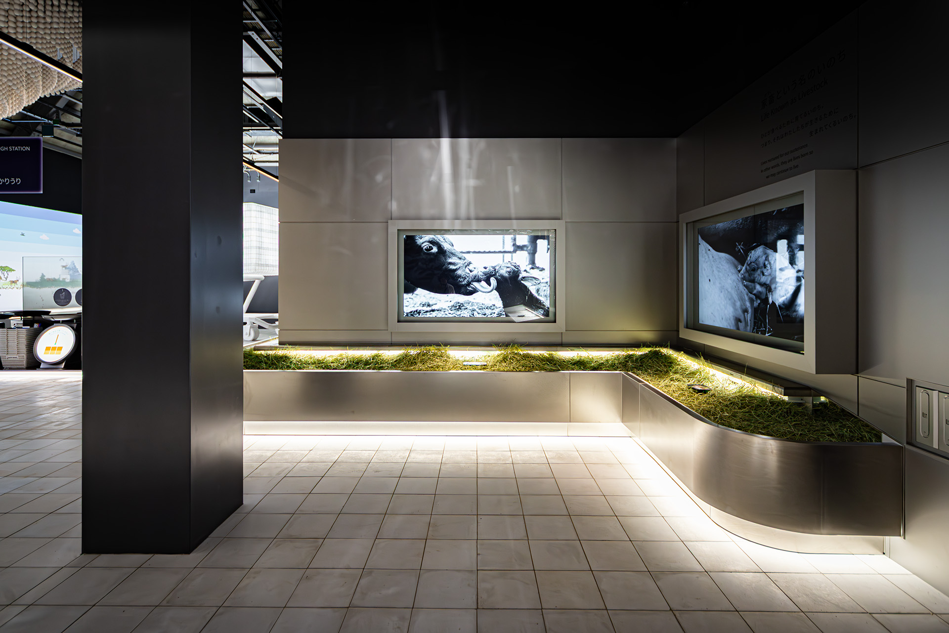 家畜といういのち