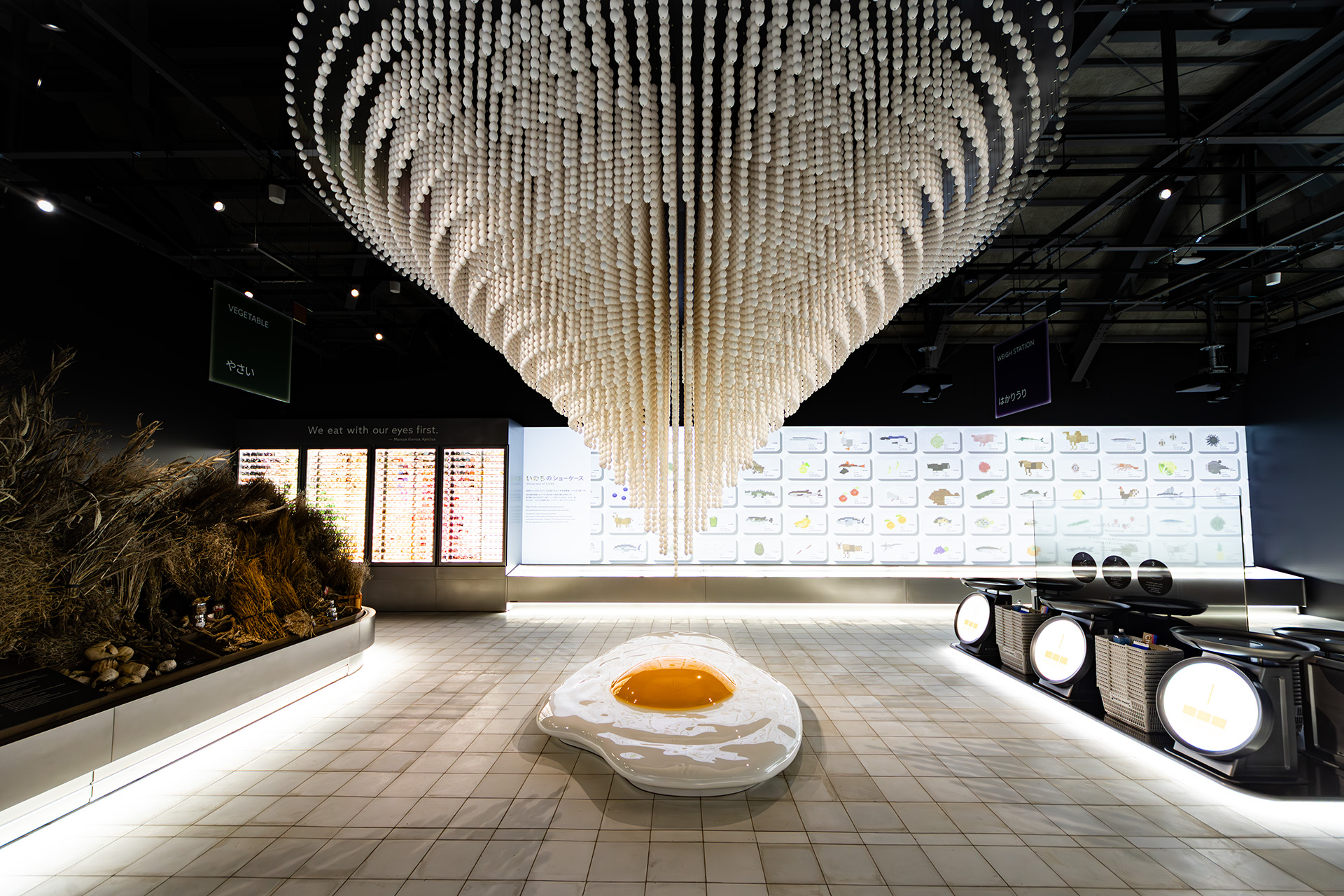 一生分のたまご