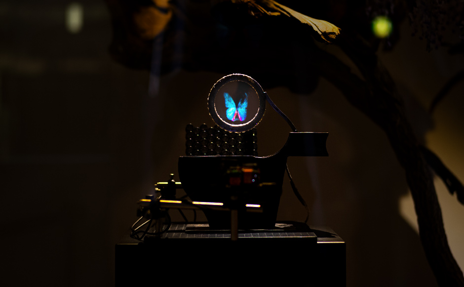 コロイドディスプレイの画像