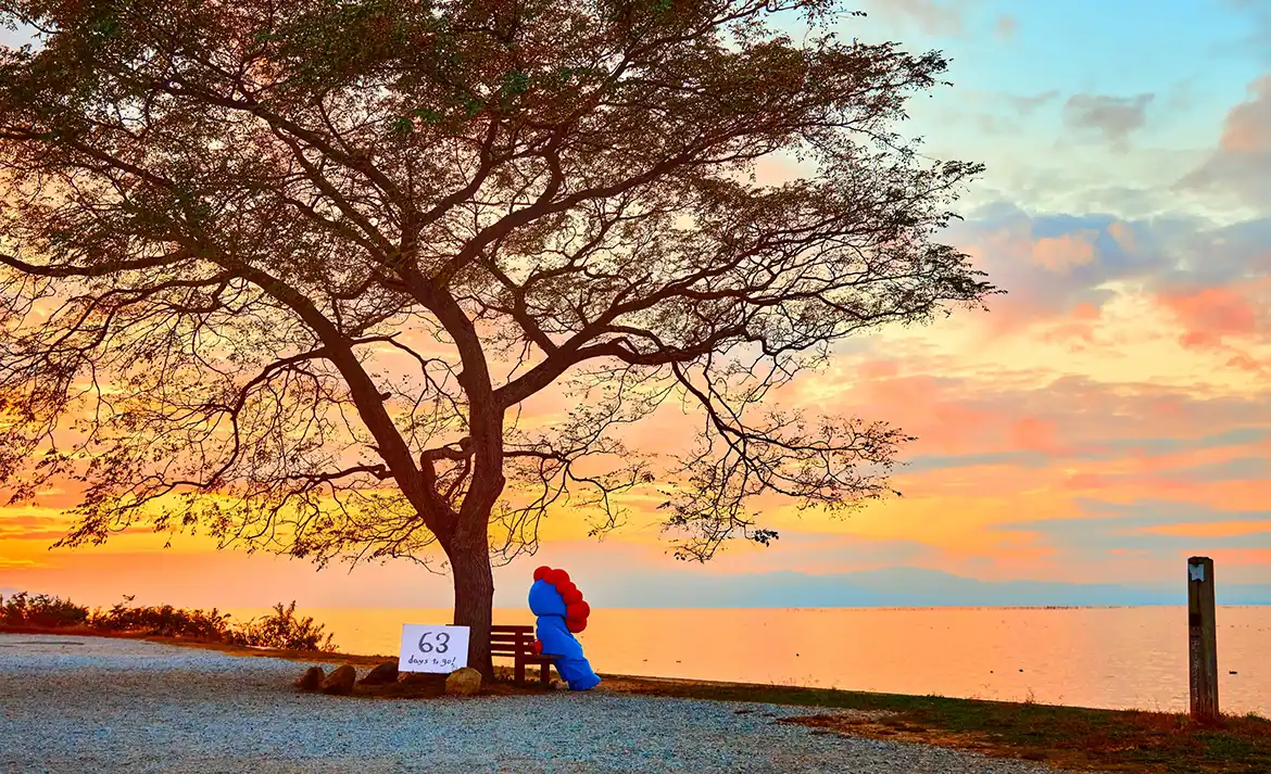 063 あのベンチ | EXPO 2025 大阪・関西万博公式Webサイト