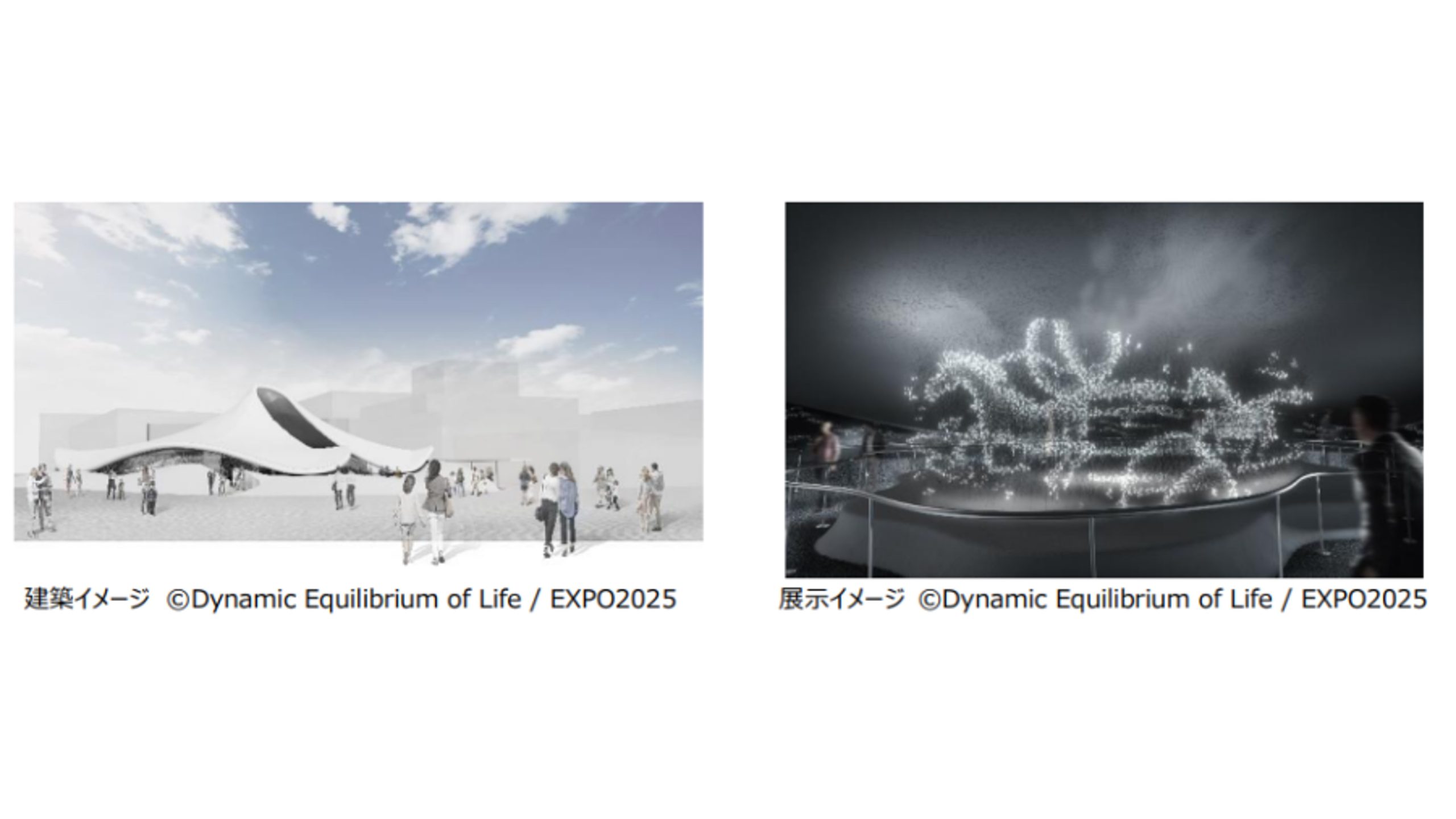 EXPO 2025 ダイナミックエクイリブリアム いのち動的平衡館　ピンバッジ いのち動的平衡館 | Takram