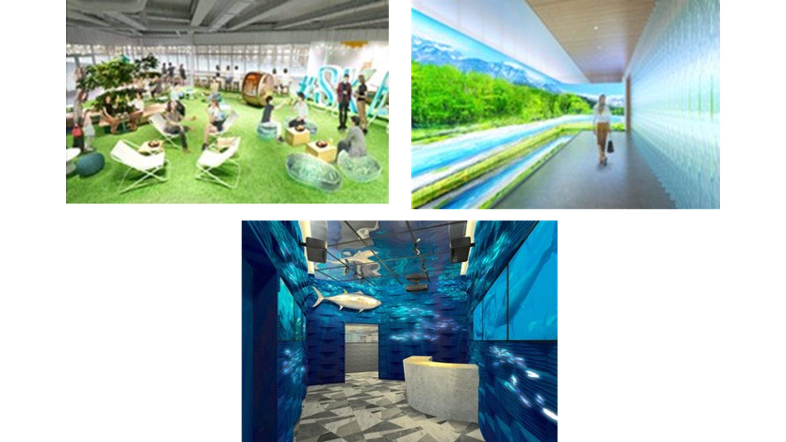 パラダイスリゾート WCS2025 top32 パラダイスリゾート WCS2025 top32